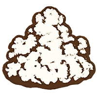 Chaga